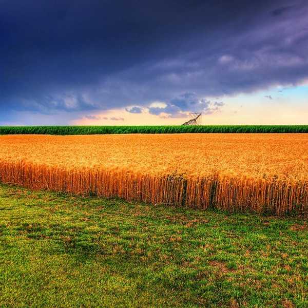 11 Reasons You Know You're From Kansas