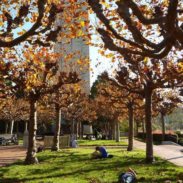 12 Important Things To Do Your First Year Of College