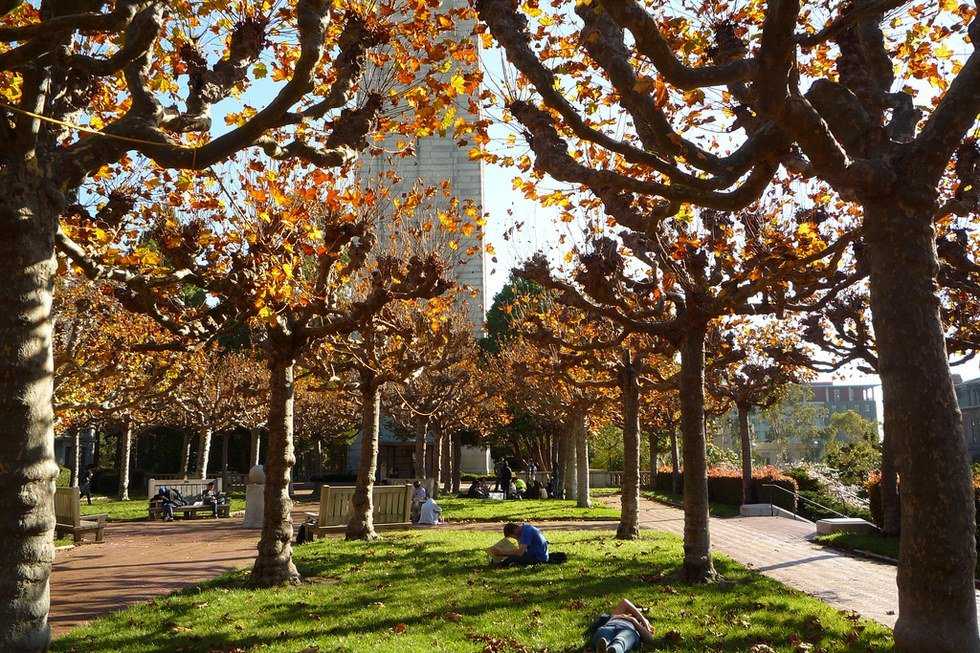 12 Important Things To Do Your First Year Of College