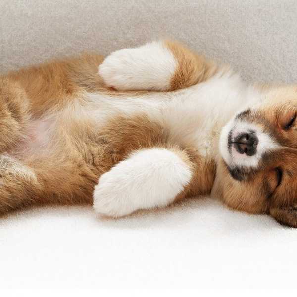 A Few Things To Remember When Having A Bad Day