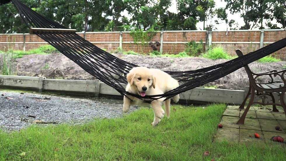 The Pros And Cons Of Summer Ending