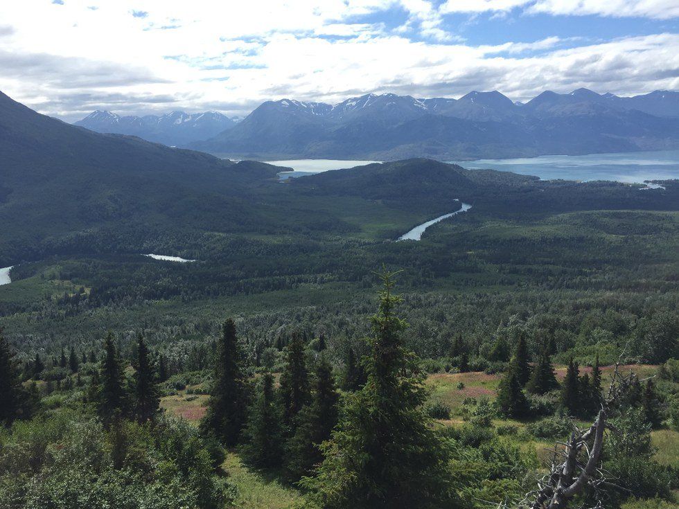 Why The Environment Should Not Be A Political Issue