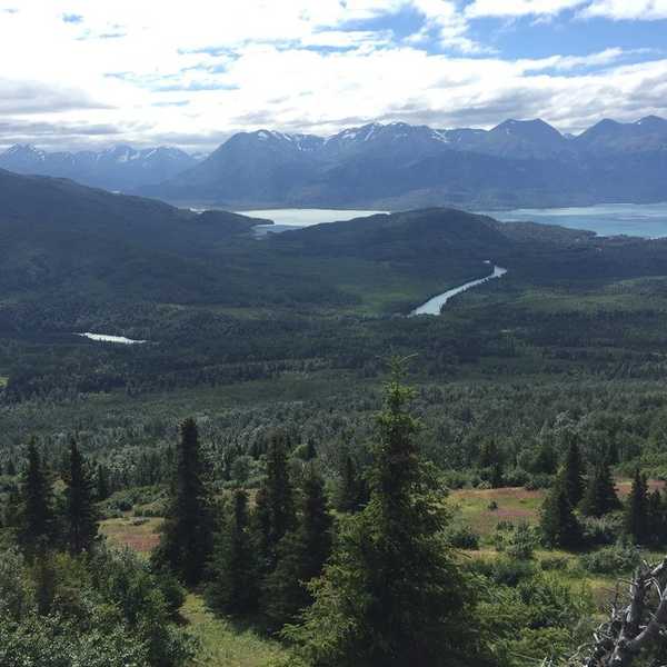 Why The Environment Should Not Be A Political Issue