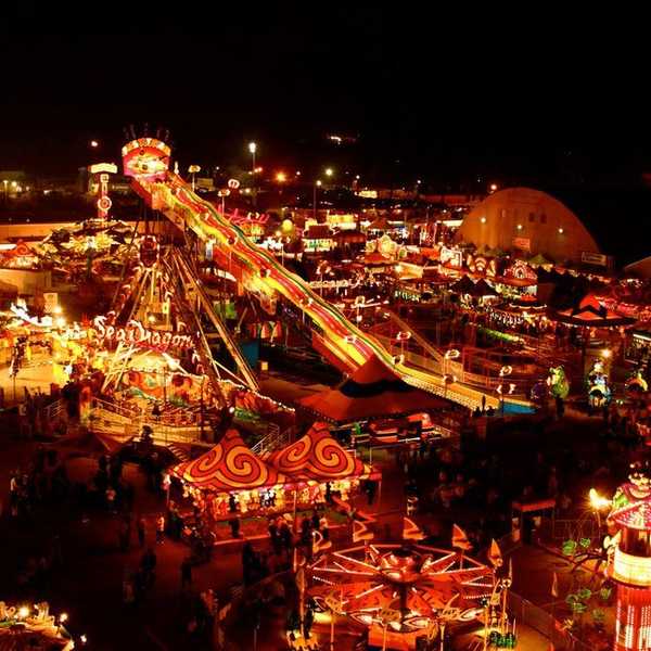 6 Reasons To Go To Your County Fair
