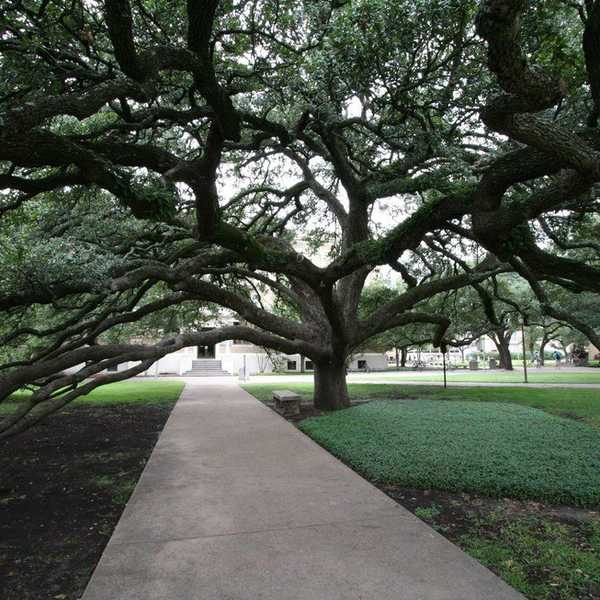Best Places To Study On Texas A&M's Campus