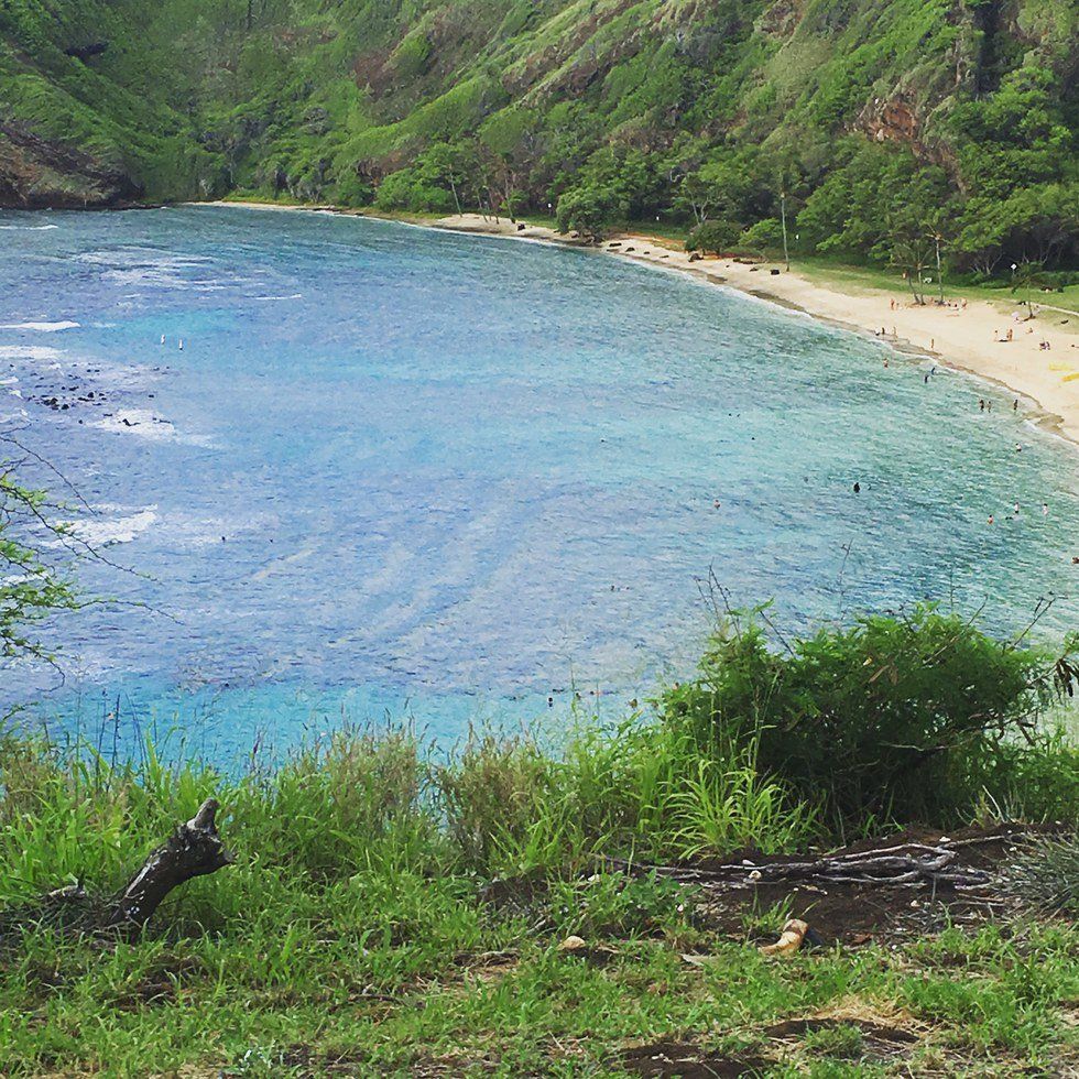 What Is A Trip To Hawaii Like?