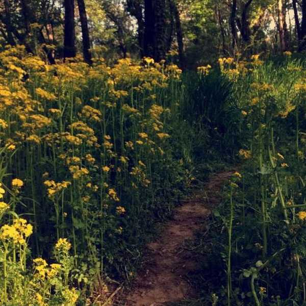 6 Steps To Becoming Outdoorsy
