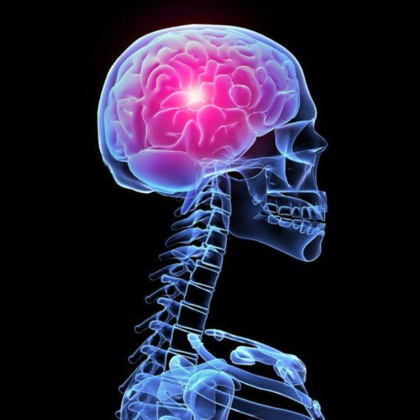 Our Irrational Fears