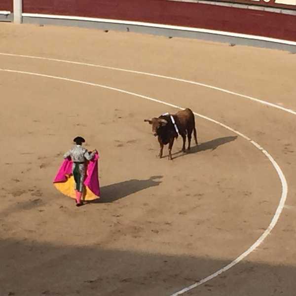 How Bullfighting Changed My Perspective On Football