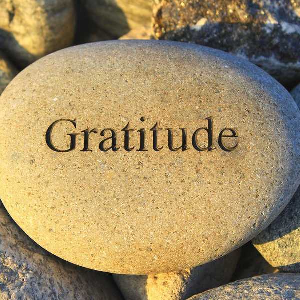 Why Is It Important To Have Gratitude
