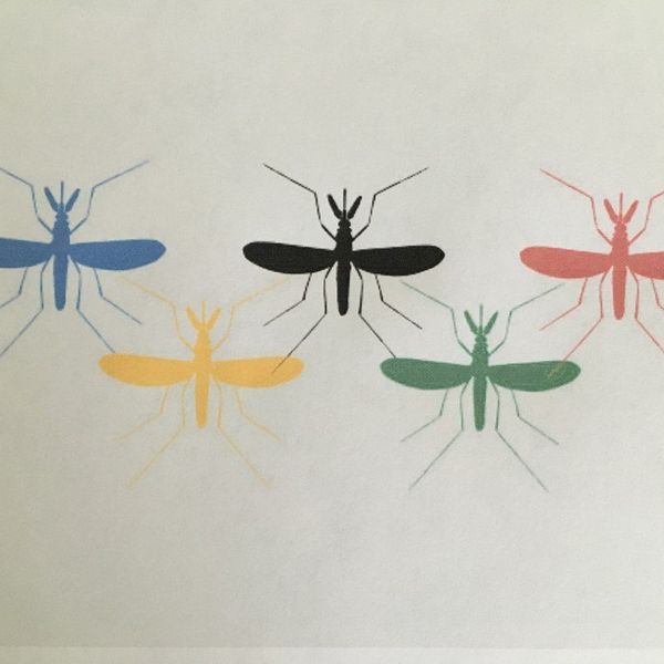 Zika Virus Scare For The Olympics