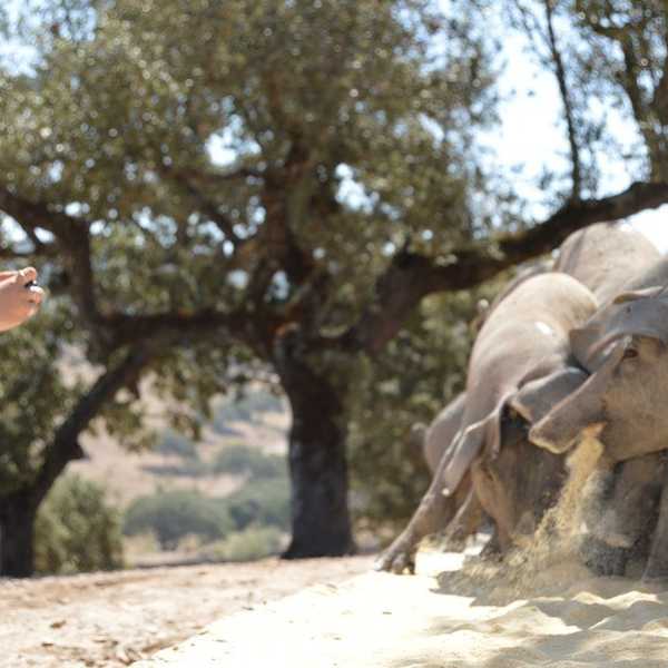 10 Of The Best Things I Did This Year