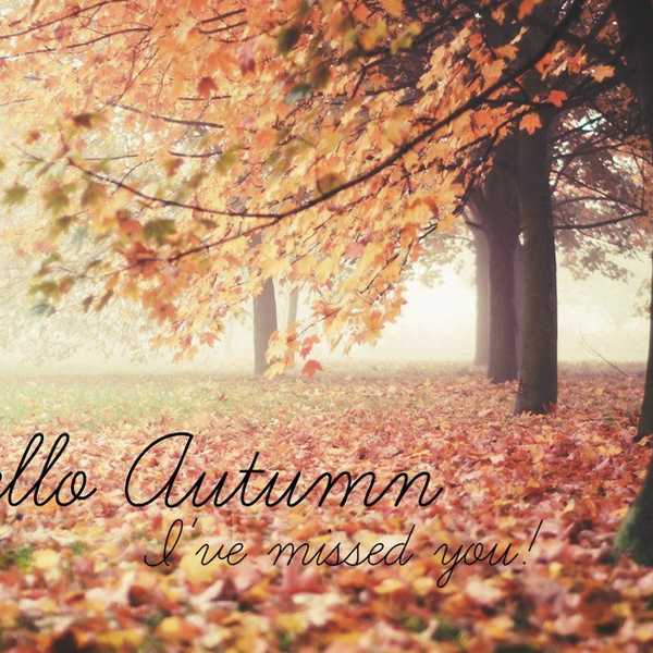 13 Reasons To Be Excited For Autumn