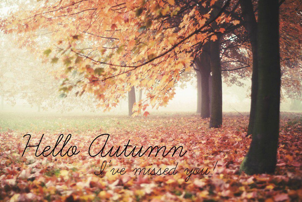 13 Reasons To Be Excited For Autumn