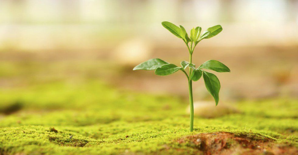 How To Beat Your Despair and Negativity