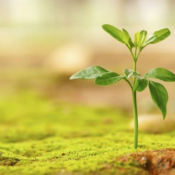 How To Beat Your Despair and Negativity