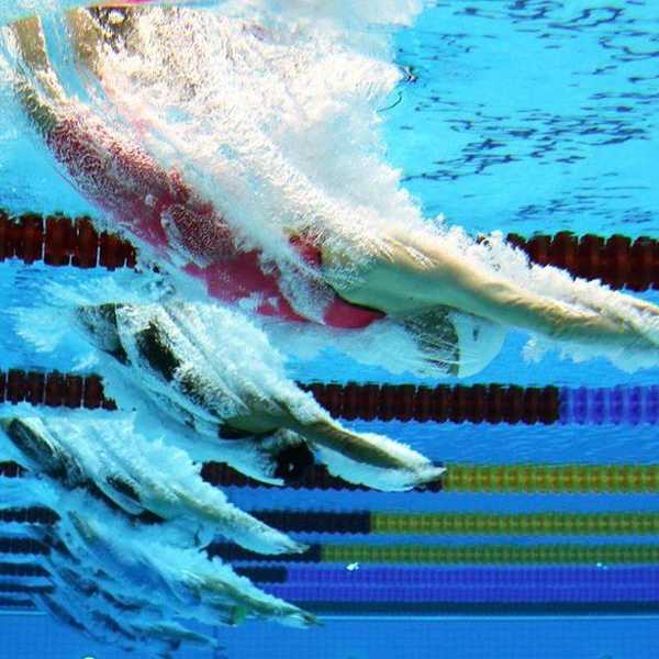 An Average Person's Guide To Olympic Swimming