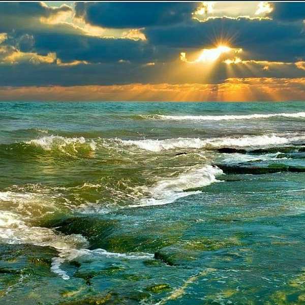 Top 8 Things You Have To Do While At The Beach