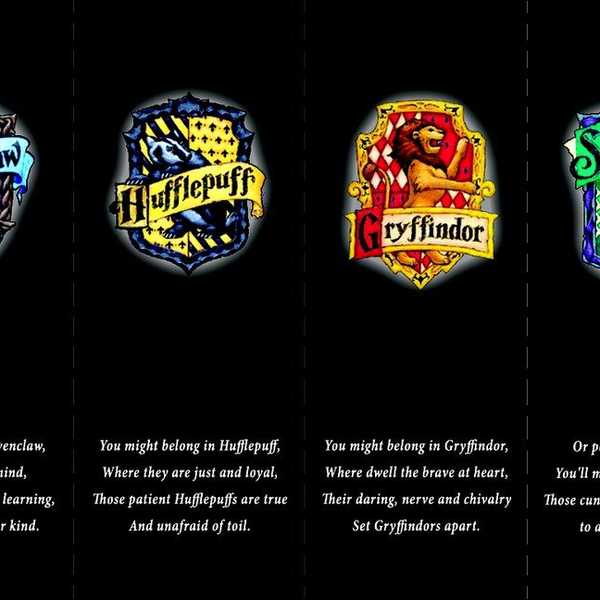 Harry Potter And the House Diversity It Deserved