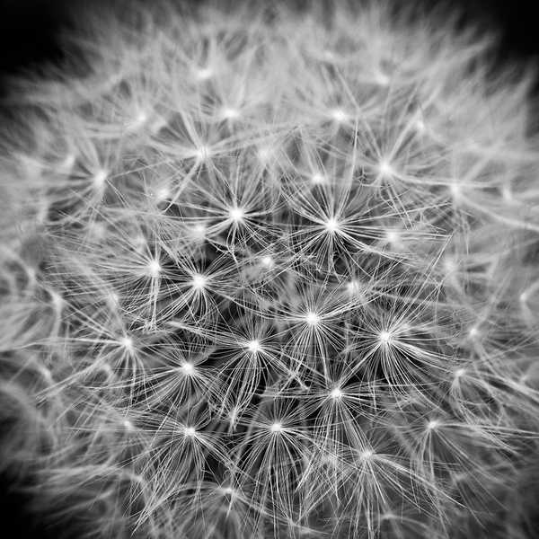 Resolutions for 24 And Beyond