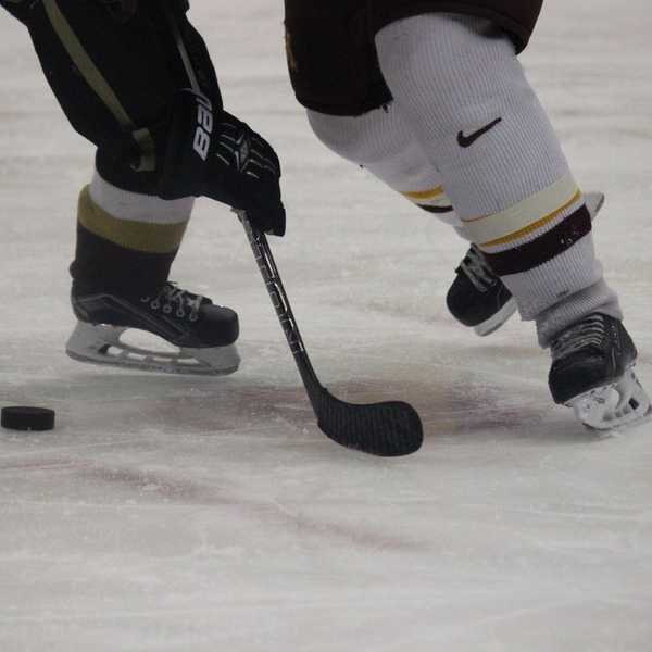 Hockey Isn't A Sport