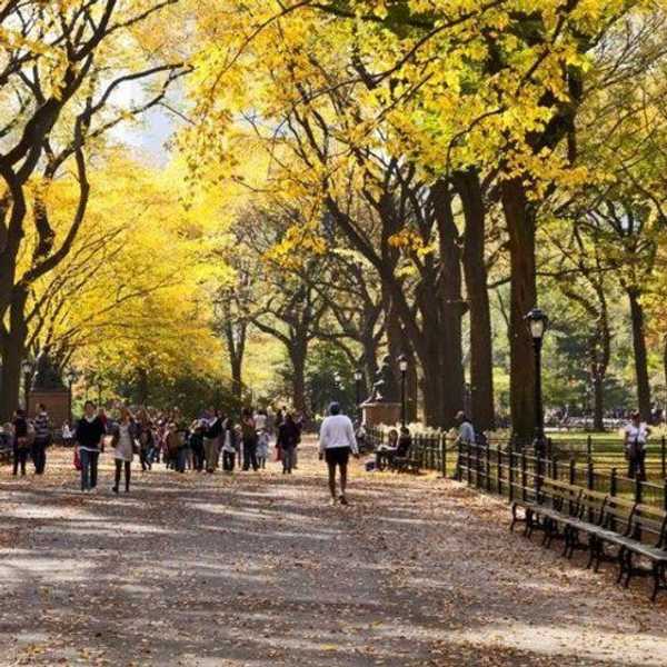 7 Reasons Why Autumn Is The Greatest Season