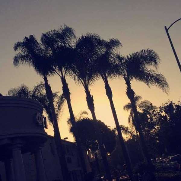 Don't Wait For The Perfect Moment, Just Go