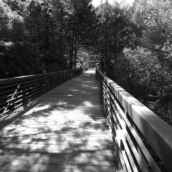 Being Multi-Ethnic On A College Campus