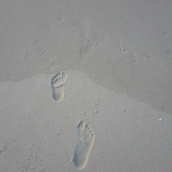 Reflect On What You Desire