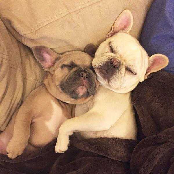 Confessions Of A Nap-O-Holic