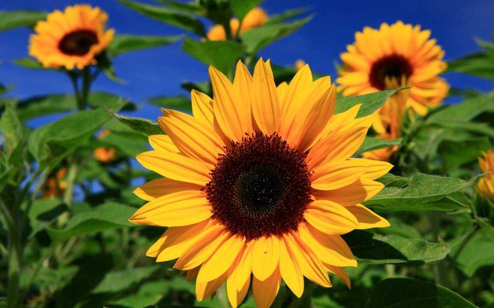 8 Reasons Why August Isn't So Bad