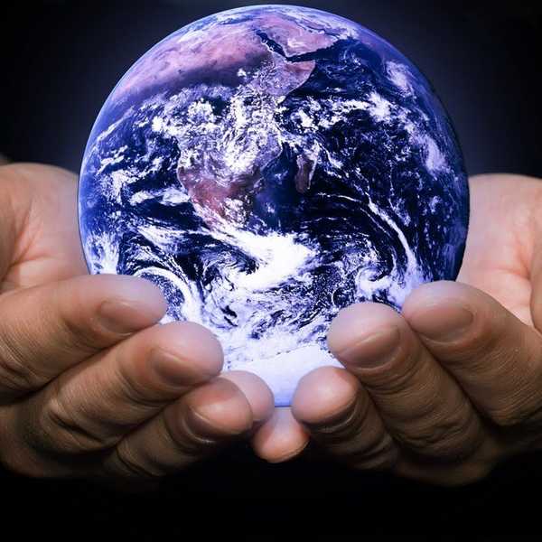 What Is Sustainability?