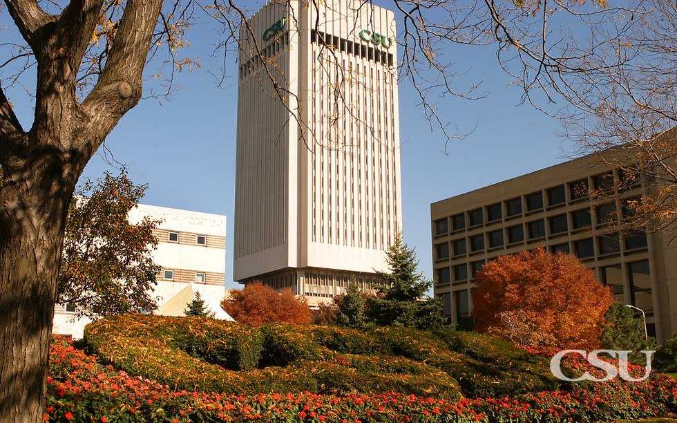 6 Stereotypes About Cleveland State University That Are Completely False
