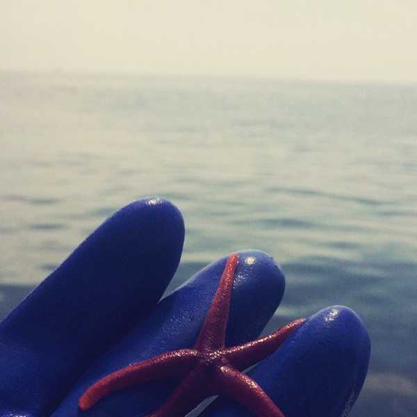 Five Things I Learned As A Lab Intern