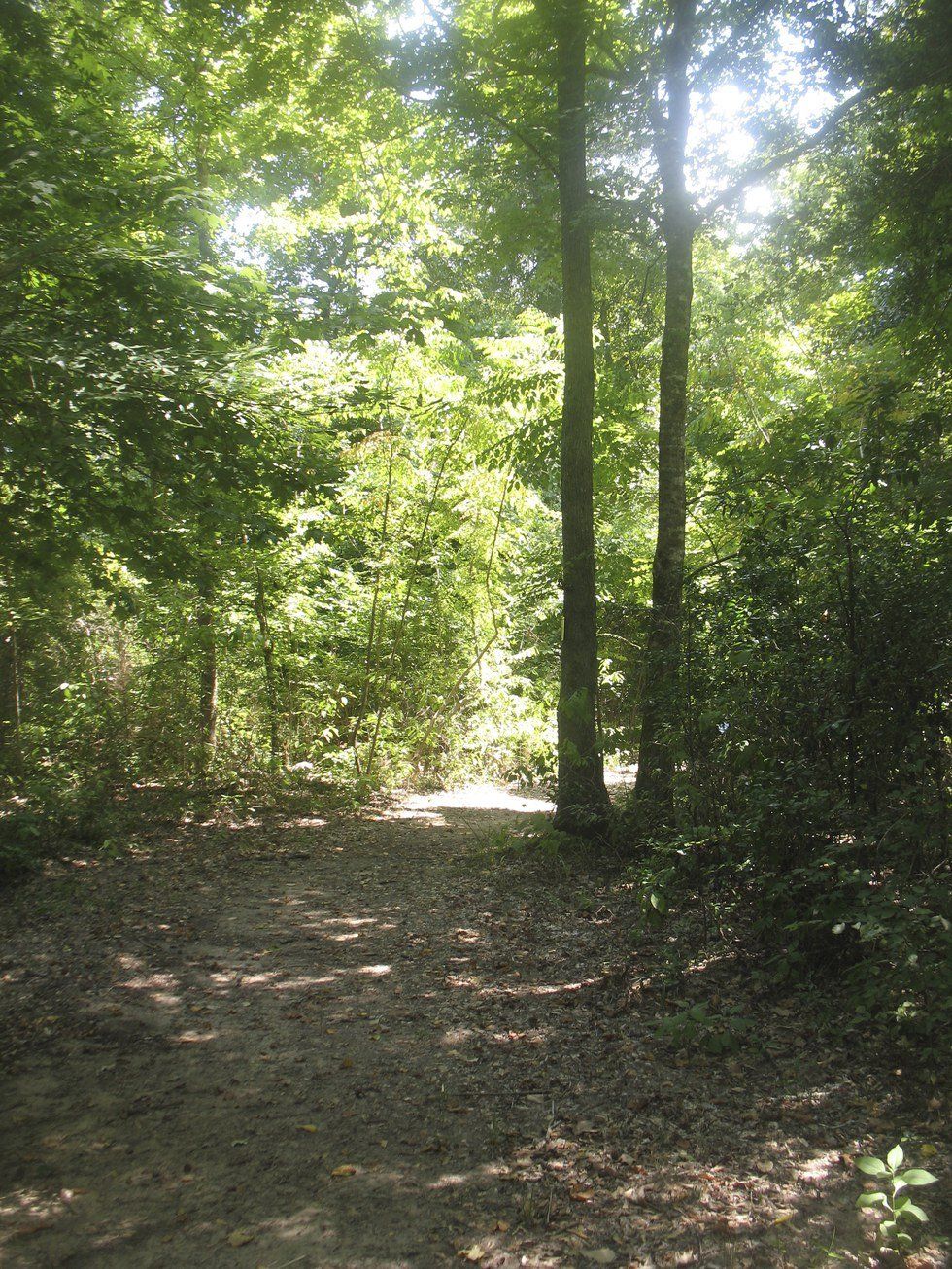 Three Steps Forward, One Step Back