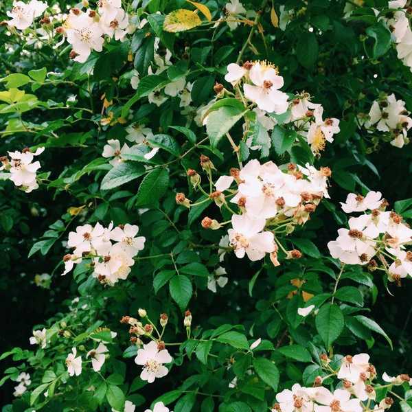 Learning Not To Worry About The Future