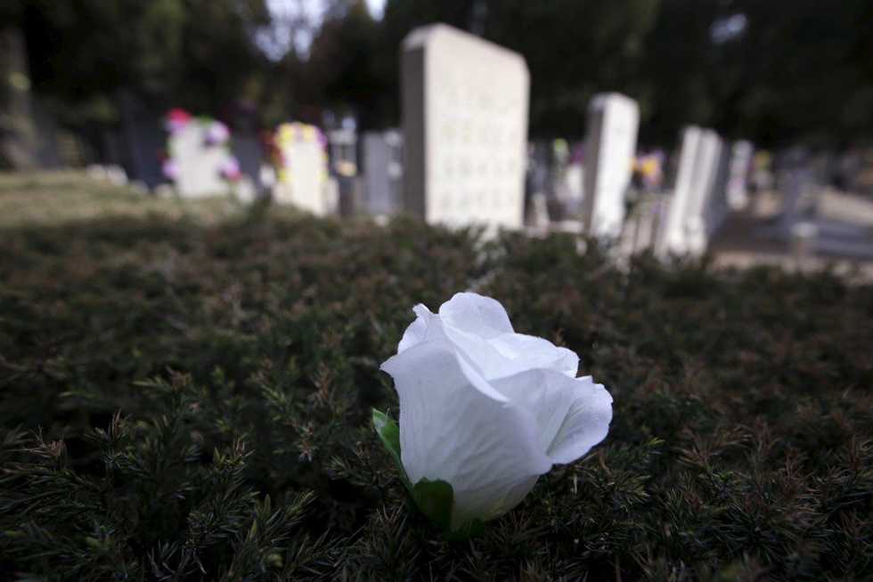 Finding A Calm Amidst The Chaos Of Death