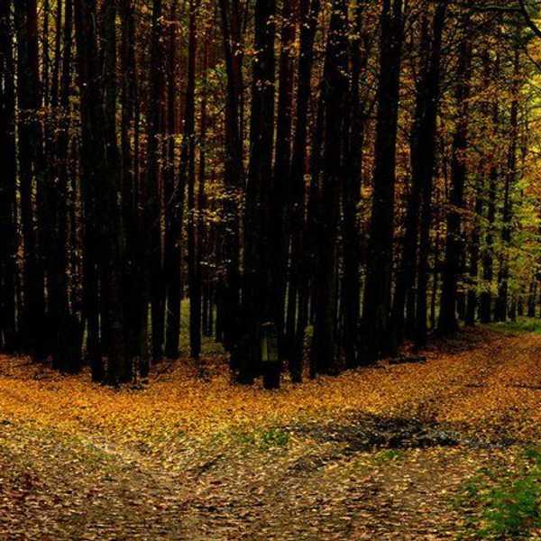 The Names I Call Myself