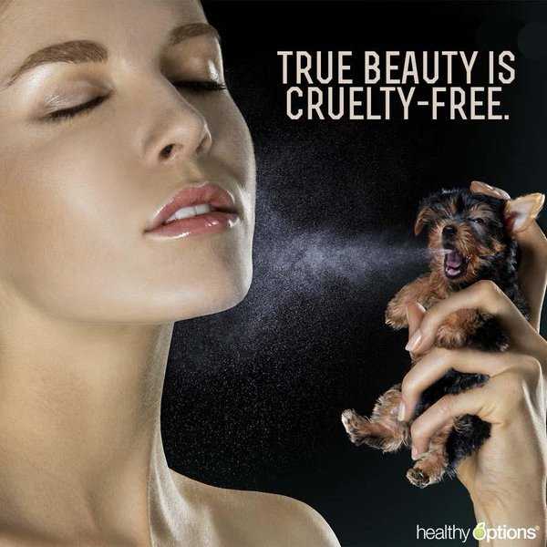 Why I'm Cruelty Free And Why You Should Be Too