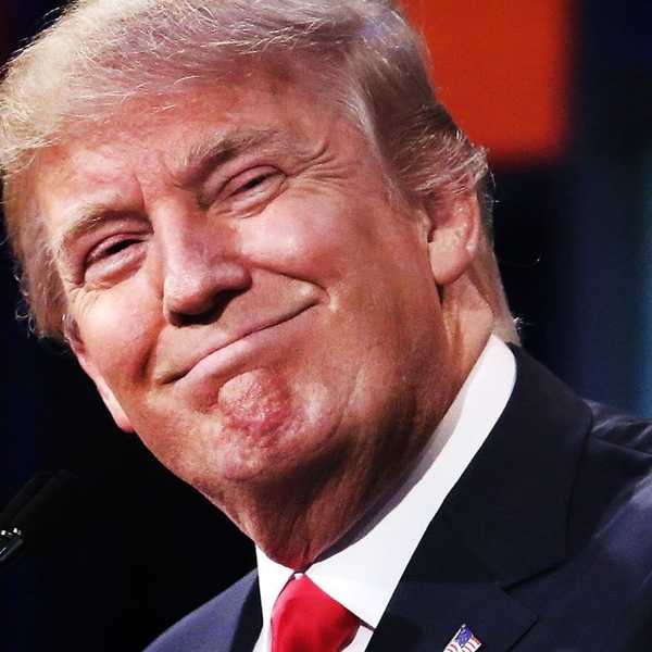 Animals That Would Make A Better President Than Donald Trump