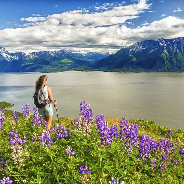 11 Things I Love About Living In Anchorage