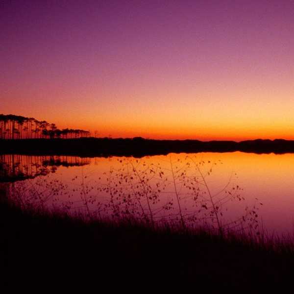 Why You Need To Put Your Cell Phone Down And Go Outside, Now.