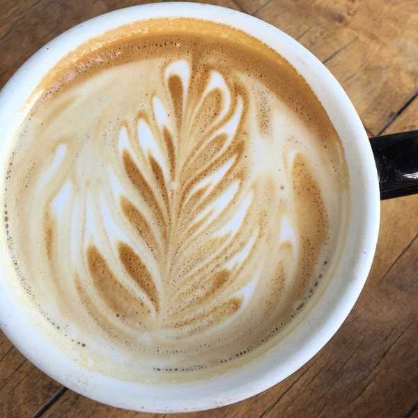 A Thank You Letter To My Daily Cup Of Joe