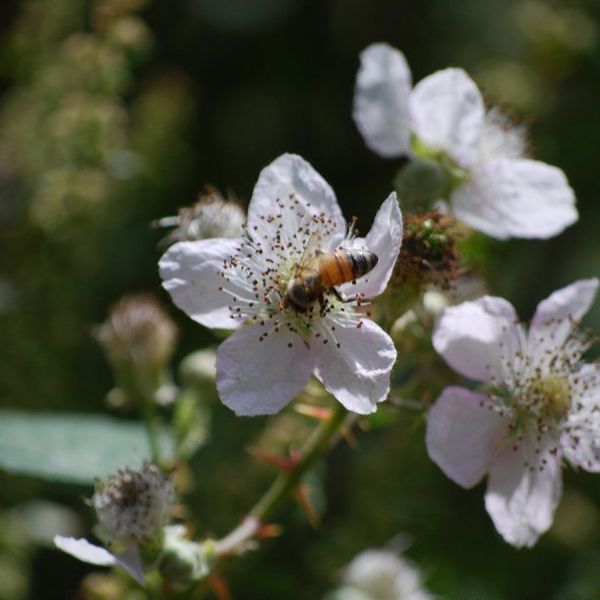 Stop Taking Everything Personally