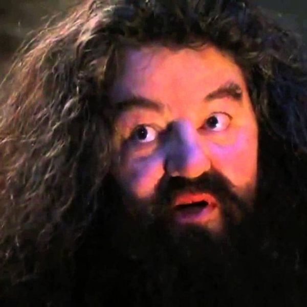 Harry Potter And The Born-Again Potterhead