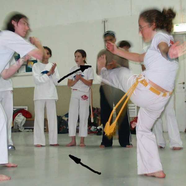 The Art Of Fighting: South America