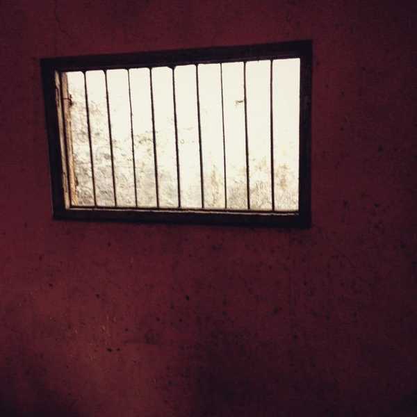 The Girl In The Window