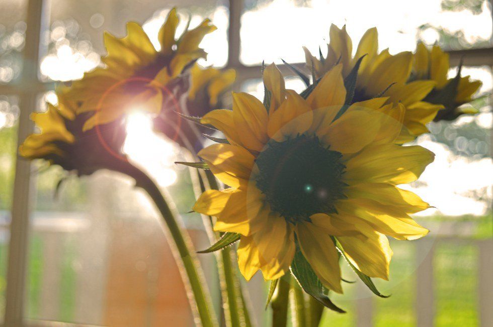 I'm Done Being A People Pleaser