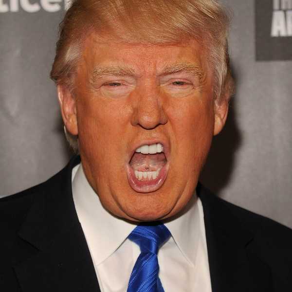 15 Orange Things I Would Rather Have For President Than Donald Trump