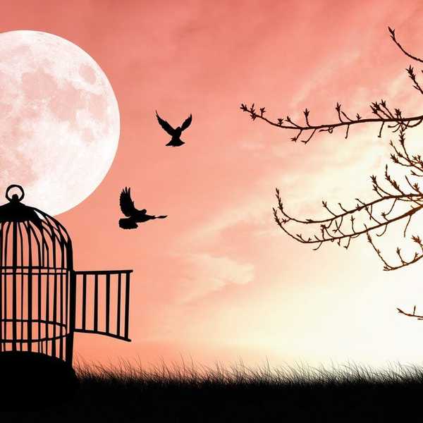 Stop Being Afraid To Tell People How You Feel